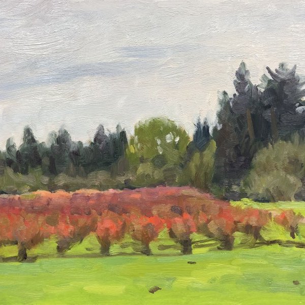 Blueberry Farm Apunte, oil on panel, 9 x 12 inches, copyright ©2018