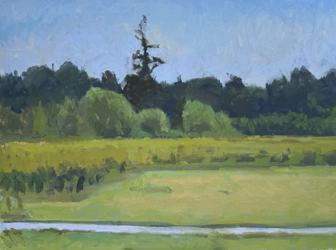 LARSEN LAKE BLUEBERRY FARM, oil on MDH panel, 16 x 20 inches, work in progress 